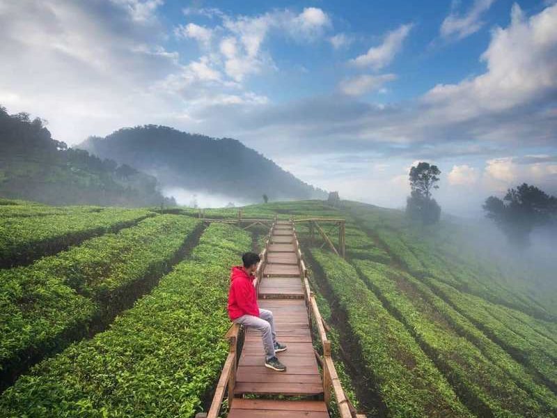 Tempat Wisata Di Lembang Yang Lagi Hits Destinasi Wisata Bali