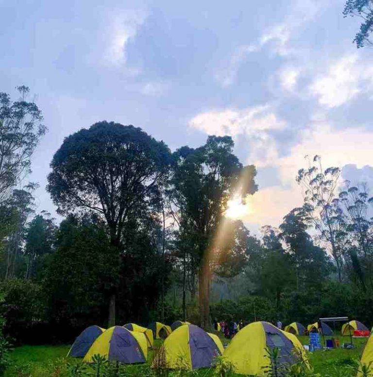 Ranca Upas Camping Ground Ciwidey Bandung – Destinasi Wisata Bali